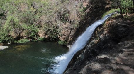 Conoce el Salto de Nogal, uno de los espectáculos naturales de Jalisco. ESPECIAL / Gobierno de Jalisco