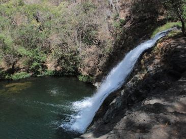 Conoce el Salto de Nogal, uno de los espectáculos naturales de Jalisco. ESPECIAL / Gobierno de Jalisco