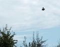 Los drones fueron detectados e inhabilitados en territorio norteamericano la noche del 25 y 26 de agosto de 2026. EFE/M. Senovilla