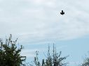 Los drones fueron detectados e inhabilitados en territorio norteamericano la noche del 25 y 26 de agosto de 2026. EFE/M. Senovilla