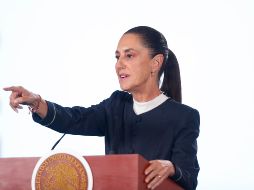 La AmSoc advirtió que una prohibición general, sin diferenciar cómo se obtuvo la segunda nacionalidad, podría producir efectos desproporcionados para millones de mexicanos. EFE / I. ESQUIVEL