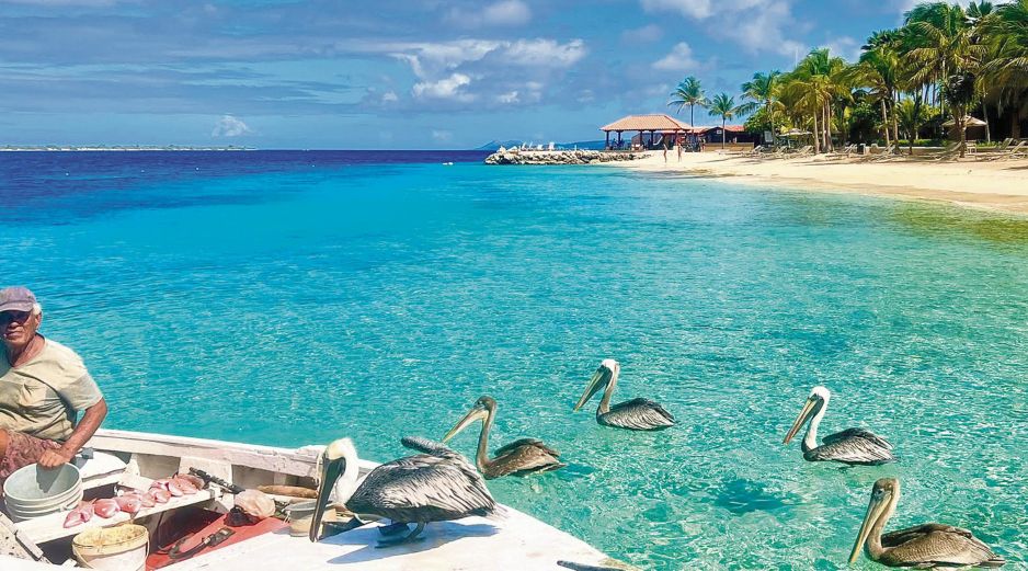 Bonaire, la isla de los arrecifes infinitos