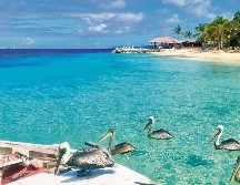 Bonaire, la isla de los arrecifes infinitos