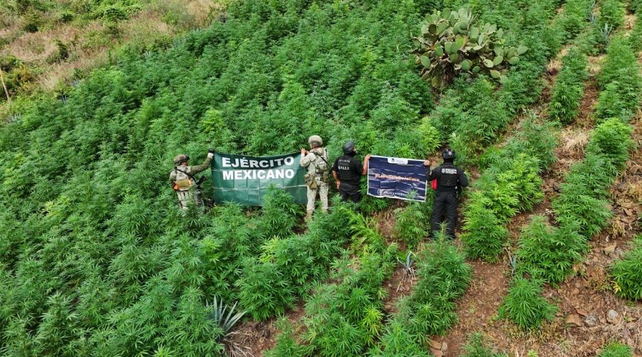 Debido a que este no es el primer hecho similar, la Secretaría de Seguridad afirmó que, a través de la Policía Estatal Preventiva, mantiene recorridos de vigilancia. ESPECIAL/Secretaría de Seguridad Jalisco