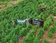 Debido a que este no es el primer hecho similar, la Secretaría de Seguridad afirmó que, a través de la Policía Estatal Preventiva, mantiene recorridos de vigilancia. ESPECIAL/Secretaría de Seguridad Jalisco