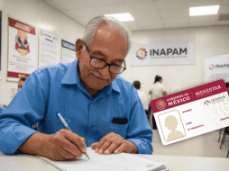 El Programa de Vinculación Productiva de Inapam busca facilitar que las personas mayores de 60 años que desean continuar trabajando encuentren oportunidades acordes con su experiencia y capacidades. ESPECIAL