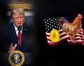 Trump defendió la expansión de centros de datos pese a la baja popularidad que tienen en EU. EFE / ARCHIVO