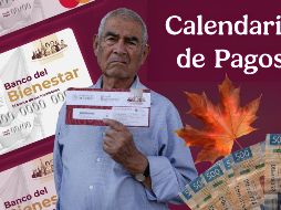 El calendario oficial de pagos de la Pensión Bienestar para adultos mayores de septiembre de 2026 fue dado a conocer ayer lunes. ESPECIAL / EL INFORMADOR y Programas del Bienestar