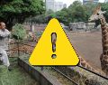 Estas son las malas condiciones del Zoológico de Chapultepec, según PETA Latino. SUN / ARCHIVO