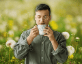 Uno de los beneficios más documentados y estudiados del té de diente de león es su potente efecto hepatoprotector. ESPECIAL / CANVA