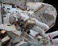 Ambas astronautas llegaron a la Estación Espacial Internacional en febrero de 2026 como parte de la misión Crew-12 de SpaceX. EFE / NASA