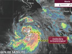 Tormenta tropical Marie EN VIVO: sigue su trayectoria y zonas afectadas