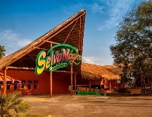 El cierre definitivo de Selva Mágica en Guadalajara es el resultado directo de la bancarrota y reestructuración financiera de The Dolphin Company en Estados Unidos. X/Selvamagicagdl