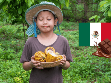 Cada 2 de septiembre, la conmemoración del Día Nacional del Cacao y el Chocolate recuerda la profunda relación entre este cultivo y la historia de México, así como la importancia de preservar una tradición que ha trascendido generaciones y fronteras. CANVA