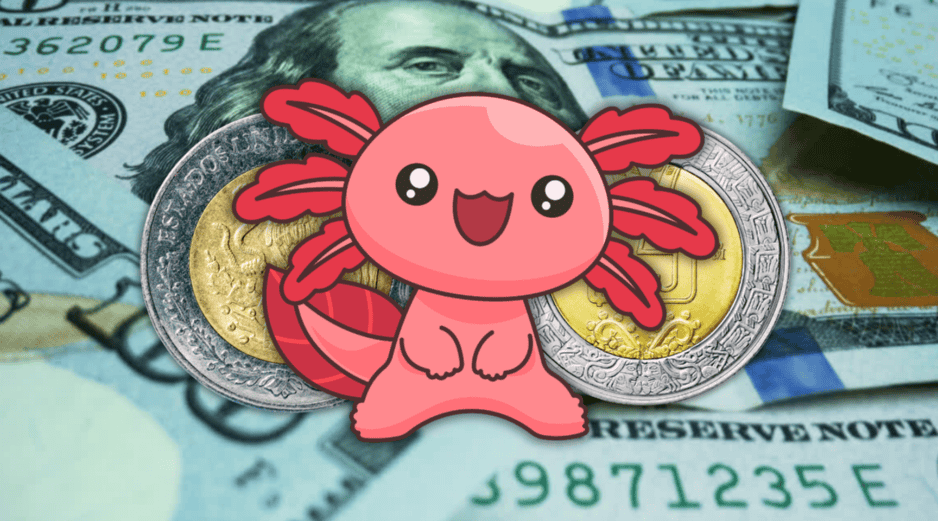 El dólar estadounidense inició operaciones cotizando alrededor de los 16.99 y 17.00 pesos por unidad. ESPECIAL / CANVA