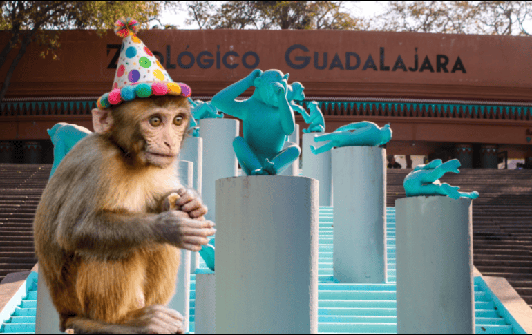 Si planeas aprovechar esta increíble promoción, te recordamos que el Zoológico Guadalajara se encuentra muy cerca de la Barranca de Huentitán. ESPECIAL/ EL INFORMADOR/ ARCHIVO/ Unsplash