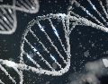 El estudio es un metaanális de los resultados de estudios de asociación del genoma completo (GWAS) de 46 cohortes de todo el mundo, . Unsplash