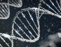 El estudio es un metaanális de los resultados de estudios de asociación del genoma completo (GWAS) de 46 cohortes de todo el mundo, . Unsplash