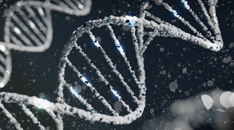 El estudio es un metaanális de los resultados de estudios de asociación del genoma completo (GWAS) de 46 cohortes de todo el mundo, . Unsplash