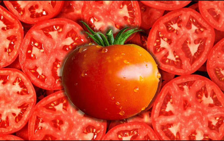 Lejos de ser dañinas, las semillas de jitomate son pequeñas cápsulas de nutrientes esenciales que tu cuerpo necesita para funcionar de manera óptima. ESPECIAL / CANVA
