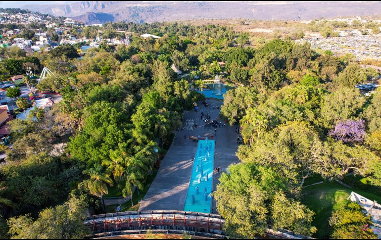 El Zoológico Guadalajara aclaró que sus operaciones continúan con normalidad, con sus horarios habituales y con todas sus atracciones, experiencias y servicios abiertos al público. EL INFORMADOR / ARCHIVO