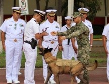 Tras completar su etapa como elemento activo, Hermes se despojó de su arnés de trabajo para comenzar una nueva vida lejos de las operaciones y los entrenamientos. SEMAR
