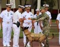 Tras completar su etapa como elemento activo, Hermes se despojó de su arnés de trabajo para comenzar una nueva vida lejos de las operaciones y los entrenamientos. SEMAR