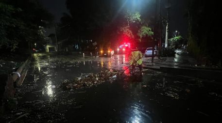 El balance preliminar señala que no hubo personas fallecidas, desaparecidas o lesionadas a consecuencia de la tormenta. EL INFORMADOR/ARCHIVO