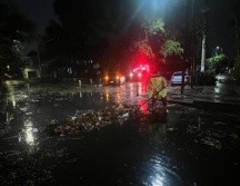 El balance preliminar señala que no hubo personas fallecidas, desaparecidas o lesionadas a consecuencia de la tormenta. EL INFORMADOR/ARCHIVO