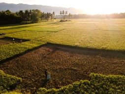 Aunque no es causado por el cambio climático, los científicos esperan que 