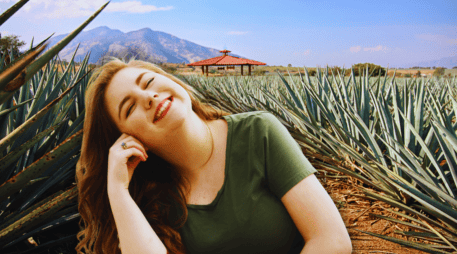 El Pueblo Mágico de Tequila es mundialmente famoso por ser la cuna indiscutible de la bebida más representativa de México. ESPECIAL / CANVA