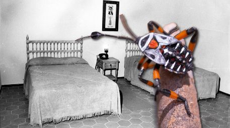 ¿Te ha pasado esto? ¡Puede que tengas chinches en casa! EL INFORMADOR / ARCHIVO