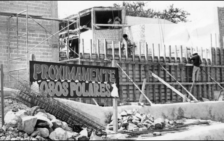 Las constantes promociones y nuevos atractivos del Zoológico de Guadalajara. 1 de diciembre de 1993. EL INFORMADOR/ ARCHIVO