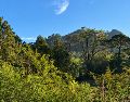El municipio de Mascota se encuentra ubicado en la Sierra Madre Occidental. Su altitud de mil 230 metros sobre el nivel del mar garantiza un clima semicálido y semihúmedo durante todo el año. ESPECIAL / O. F. López