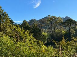 El municipio de Mascota se encuentra ubicado en la Sierra Madre Occidental. Su altitud de mil 230 metros sobre el nivel del mar garantiza un clima semicálido y semihúmedo durante todo el año. ESPECIAL / O. F. López