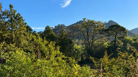 El municipio de Mascota se encuentra ubicado en la Sierra Madre Occidental. Su altitud de mil 230 metros sobre el nivel del mar garantiza un clima semicálido y semihúmedo durante todo el año. ESPECIAL / O. F. López