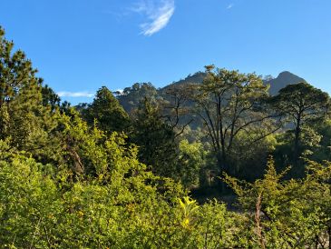 El municipio de Mascota se encuentra ubicado en la Sierra Madre Occidental. Su altitud de mil 230 metros sobre el nivel del mar garantiza un clima semicálido y semihúmedo durante todo el año. ESPECIAL / O. F. López