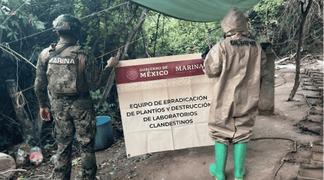El Gobierno estimó que la desmantelación de ese complejo representa una afectación económica cercana a 347 millones de dólares para las organizaciones criminales. ESPECIAL/Secretaría de Marina