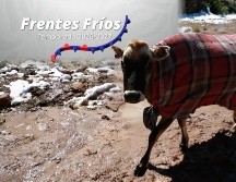 El pronóstico presentado por el SMN señala que algunos de los estados que podrían verse más afectados por los frentes fríos se encuentran principalmente en el norte de México. ESPECIAL / EL INFORMADOR y Conagua