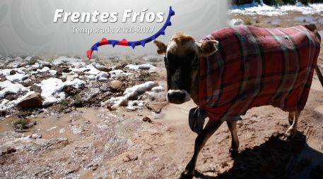 El pronóstico presentado por el SMN señala que algunos de los estados que podrían verse más afectados por los frentes fríos se encuentran principalmente en el norte de México. ESPECIAL / EL INFORMADOR y Conagua