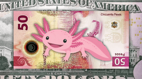 El peso mexicano acaba de romper una barrera psicológica importante frente al dólar estadounidense, cerrando su mejor semana en meses. ESPECIAL / CANVA