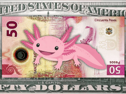 El peso mexicano acaba de romper una barrera psicológica importante frente al dólar estadounidense, cerrando su mejor semana en meses. ESPECIAL / CANVA