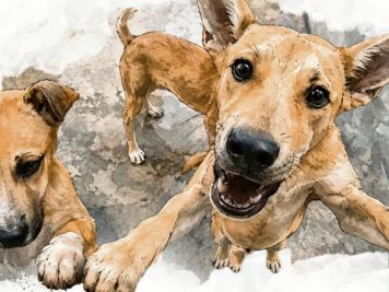 Rescate de animales maltratados aumenta en Jalisco durante 2026