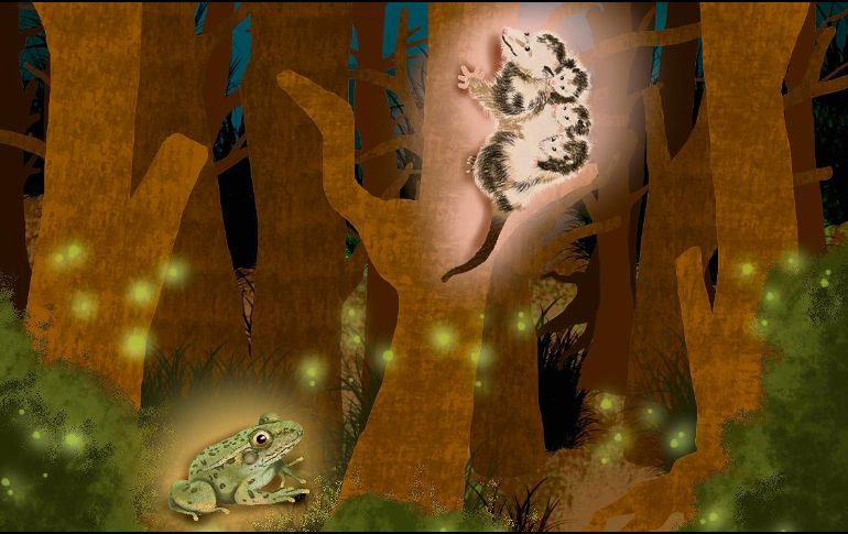 La zona alberga una notable variedad de fauna, con presencia de especies endémicas y migratorias que encuentran en este territorio refugio, alimento y sitios de reproducción. CORTESÍA/CARACOLSAURIO_ART