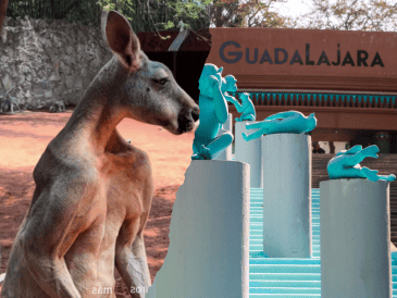 Un canguro rojo llamado "Akala" se ha convertido en la nueva estrella del Zoológico Guadalajara tras protagonizar un video viral en TikTok. ESPECIAL/ EL INFORMADOR/ ARCHIVO/TikTok/ zoologicoguadalajara