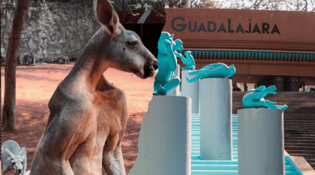 Un canguro rojo llamado 