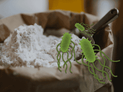 La Salmonella no tiene por qué modificar el olor, sabor o apariencia del producto, por lo que observarlo no es suficiente para determinar si es seguro. CANVA