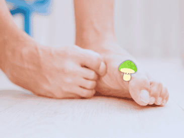 La Organización Mundial de la Salud (OMS) advierte que las infecciones fúngicas superficiales afectan a una cuarta parte de la población mundial. ESPECIAL / CANVA