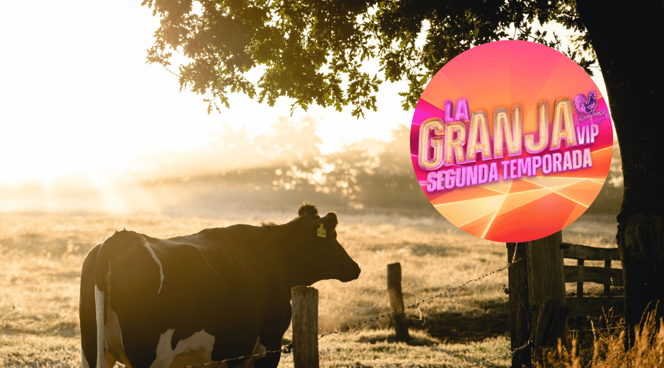 El programa contará con una transmisión 24/7 para aquellos fanáticos que no quieran perderse ni un solo detalle de lo que sucede dentro de la granja. CANVA