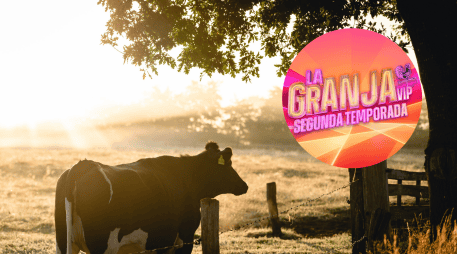 El programa contará con una transmisión 24/7 para aquellos fanáticos que no quieran perderse ni un solo detalle de lo que sucede dentro de la granja. CANVA